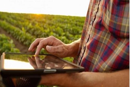 افتتاح اولین مدل سکوی دیجیتال در حوزه کشاورزی