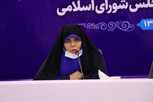 لزوم تقویت آئین نامه پشتیبانی از کسب و کارهای اقتصاد دیجیتال