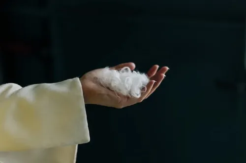 هوش مصنوعی پرهای مرغ را به پارچه کشمیر مبدل می کند