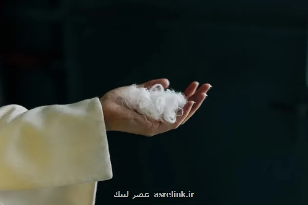 هوش مصنوعی پرهای مرغ را به پارچه کشمیر مبدل می کند