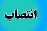 معاون توسعه مدیریت سازمان فناوری اطلاعات ایران منصوب گردید