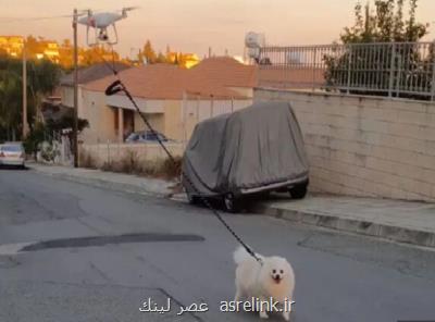 پیاده روی یك سگ با كمك پهپاد برای فرار از كروناویروس! بعلاوه فیلم
